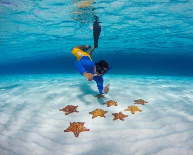 El Cielo and El Cielito Catamaran Tour with Slide and Open Bar - An In-Depth Review of the El Cielo and El Cielito Catamaran Tour