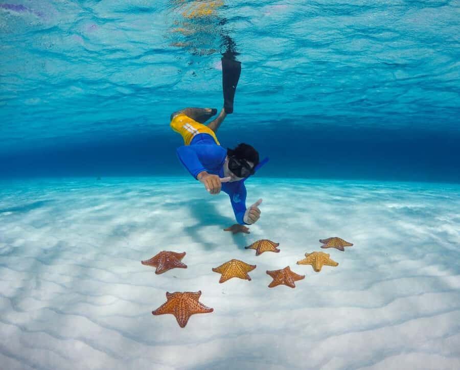 El Cielo and El Cielito Catamaran Tour with Slide and Open Bar - An In-Depth Review of the El Cielo and El Cielito Catamaran Tour