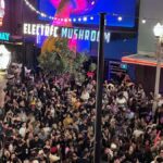 Electric Mushroom: Nightclub VIP Entry & Free Cocktail - Practical Details and Tips for Visitors