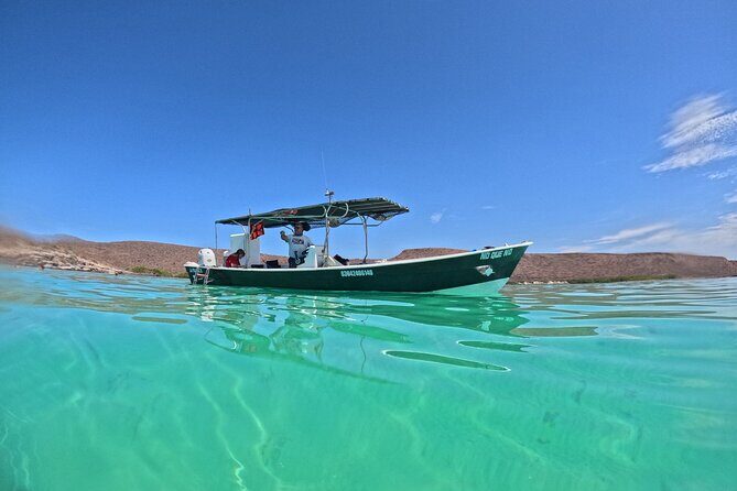 Espiritu Santo Private SCUBA Tour for Beginners - Why This Tour Is Different and Valuable