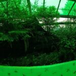 Essential City Shared Walking Tour - Detailed Review of the Essential City Shared Walking Tour