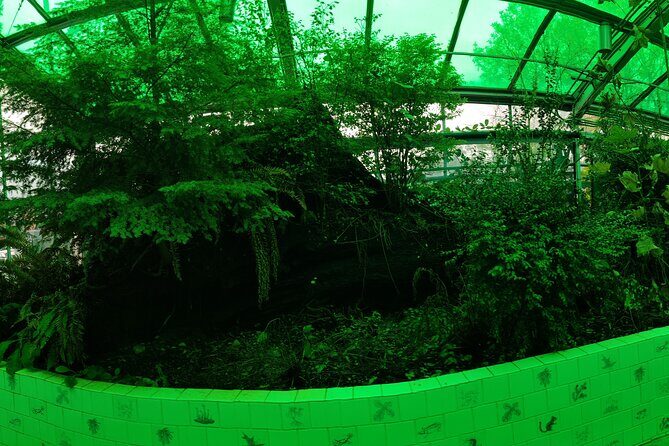 Essential City Shared Walking Tour - Detailed Review of the Essential City Shared Walking Tour