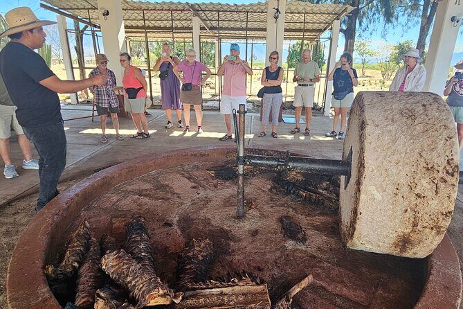 Essential Oaxaca:Tule, Tlacochahuaya, Teotitlán del Valle, Mezcal - Who Is This Tour Best For?