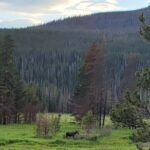 Estes Park Off Road 4x4 Jeep Adventure Tour - Final Thoughts: Is the Estes Park Off Road 4x4 Jeep Adventure Tour Worth It?