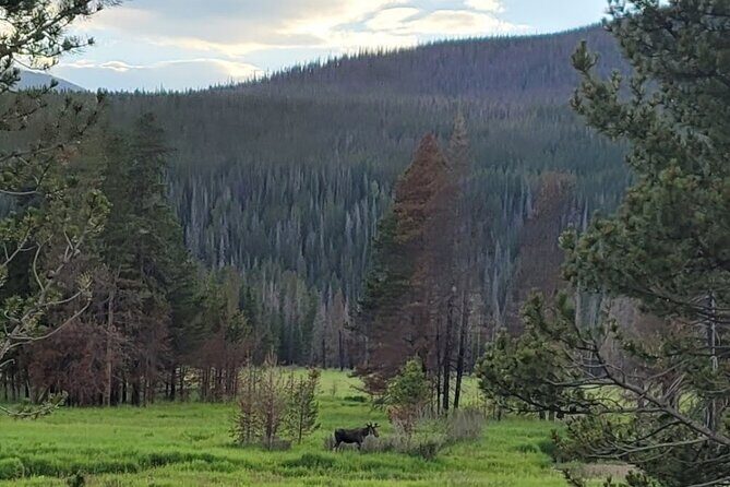 Estes Park Off Road 4x4 Jeep Adventure Tour - Final Thoughts: Is the Estes Park Off Road 4x4 Jeep Adventure Tour Worth It?