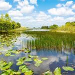 Everglades Airboat Adventure and Biscayne Bay Boat Tour - What Real Travelers Say