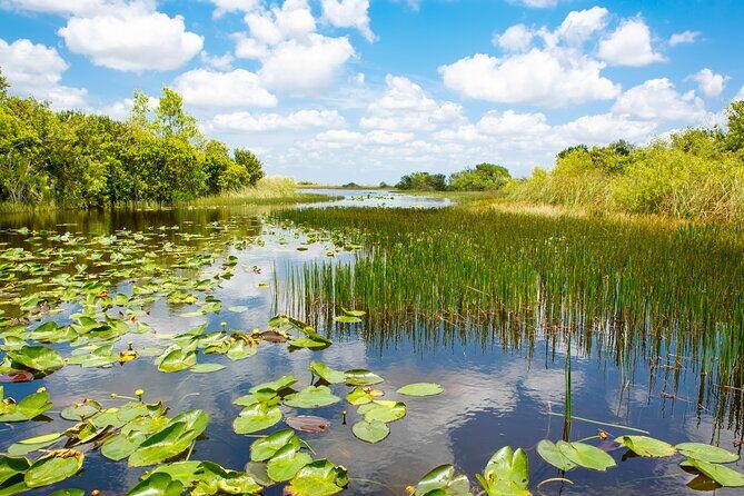 Everglades Airboat Adventure and Biscayne Bay Boat Tour - What Real Travelers Say
