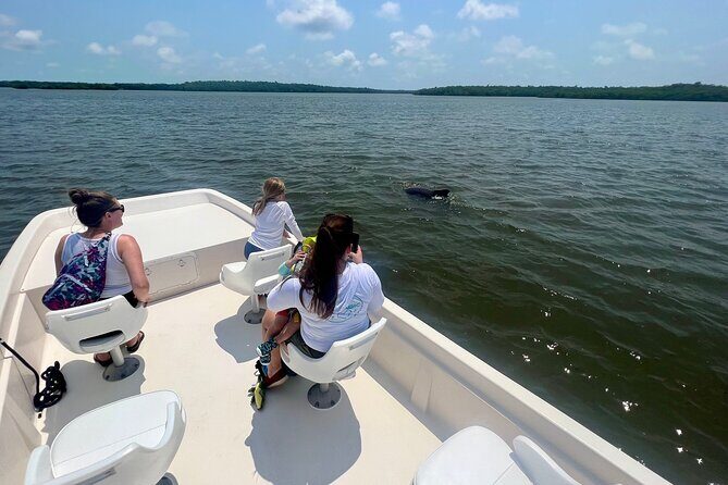 Everglades Mangrove Wilderness Boat Tour - Summing Up the Experience
