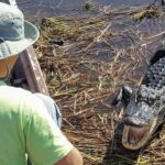 Everglades Tour with 2 Boat Rides, Hike and Lunch - Practical Details & Tips