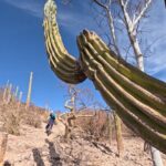 Exclusive Ebike Adventure in Nopolo National Park - The Value of This Adventure