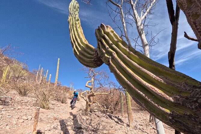 Exclusive Ebike Adventure in Nopolo National Park - The Value of This Adventure