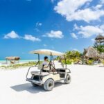 Exclusive Full Day Nature Expedition to Holbox Island - A Deep Dive into the Holbox Island Full-Day Tour