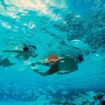 Exclusive Isla Mujeres Tour in Catamaran! Sailing from Cancun - The Authentic Sense and Practical Value