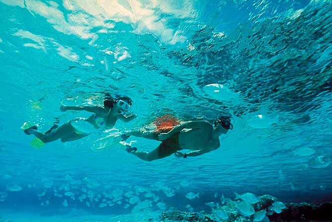 Exclusive Isla Mujeres Tour in Catamaran! Sailing from Cancun - The Authentic Sense and Practical Value