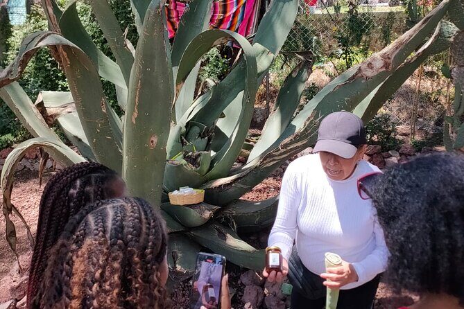 Exclusive Teotihuacán Pyramids, Cave & Hot Air Balloon Ride - Who Would Love This Tour?