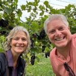 Exclusive Wine Tasting with Founding Winemaker Mark LaClair - The Sum Up