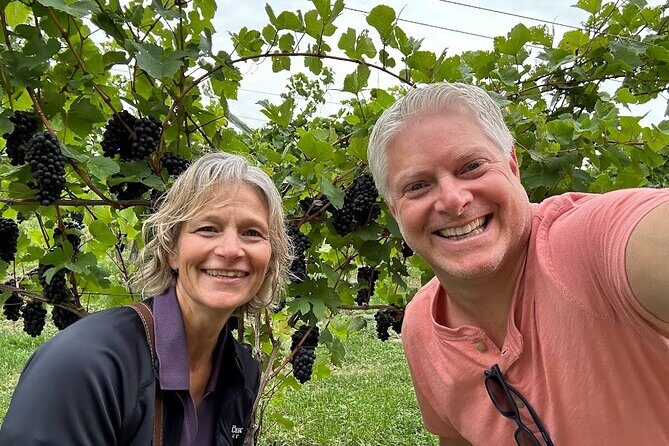 Exclusive Wine Tasting with Founding Winemaker Mark LaClair - The Sum Up