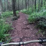 Experience Biking Adventure in Maui Mountain - In-Depth Look at the Maui Mountain Biking Tour