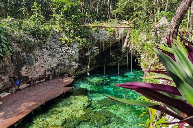 Explore Kaan Luum Lagoon and Two Cenotes - Transportation and Group Size
