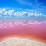 Explore Las Coloradas & Rio Lagartos, Full Day only from Tulum - Final Thoughts