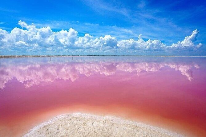 Explore Las Coloradas & Rio Lagartos, Full Day only from Tulum - Final Thoughts