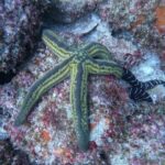 Explore Los Arcos and Playa - A Deep Dive into the Experience