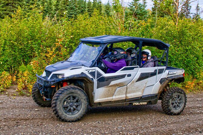 Explore the Denali Wilderness: Self Guided ATV Rental in Alaska! - Summing Up: Is It Worth It?