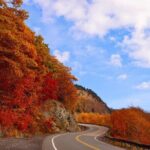 Explore the Full Cabot Trail: World Famous Trail - Practical Details and What You Can Expect