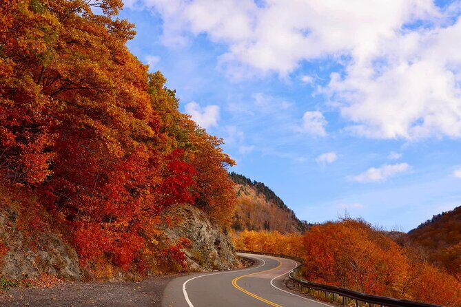 Explore the Full Cabot Trail: World Famous Trail - Practical Details and What You Can Expect