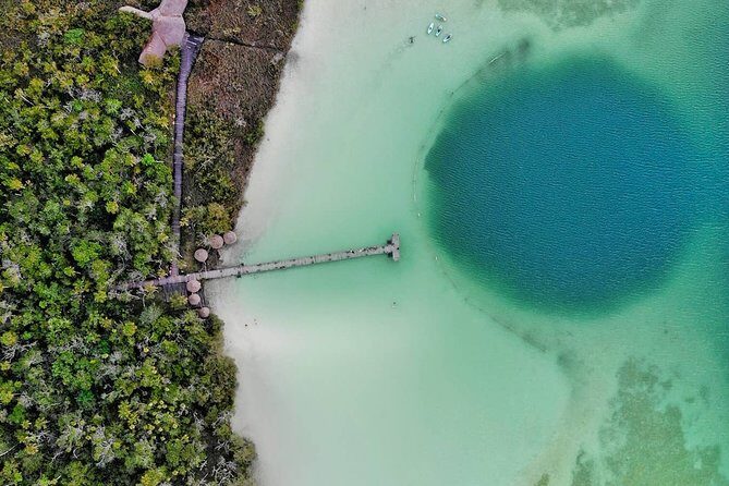 Explore the Mayan Jungle in Tulum. 2 Cenotes, Kaan Luum Lagoon - Authentic Traveler Insights