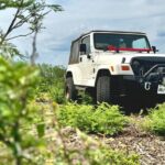Explore the Medina River Valley on a Rugged Jeep with a Guide - Who Will Love This Tour?