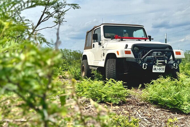 Explore the Medina River Valley on a Rugged Jeep with a Guide - Who Will Love This Tour?