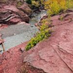 Explore Waterton National Park from Calgary Day Guided Tour - Practical Considerations and Value