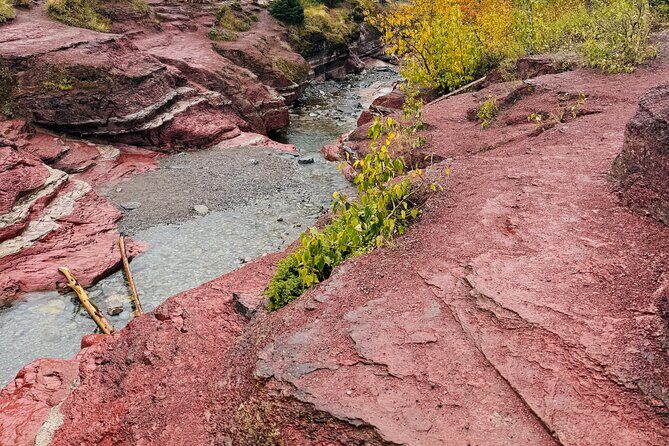 Explore Waterton National Park from Calgary Day Guided Tour - Practical Considerations and Value