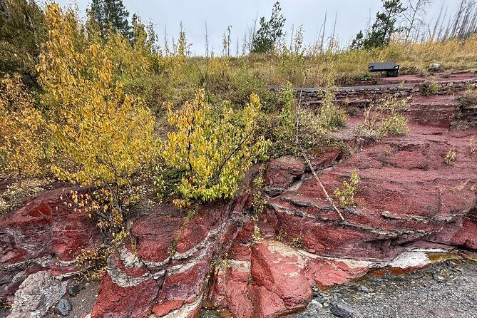 Explore Waterton National Park from Calgary private Luxury Tour - A Deep Dive into the Experience