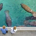 Explore Wildlife Sanctuaries on the WILD Palm Beaches Tour - Why This Tour Offers Great Value