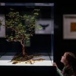 Exquisite Creatures Exhibit By Christopher Marley - Key Points