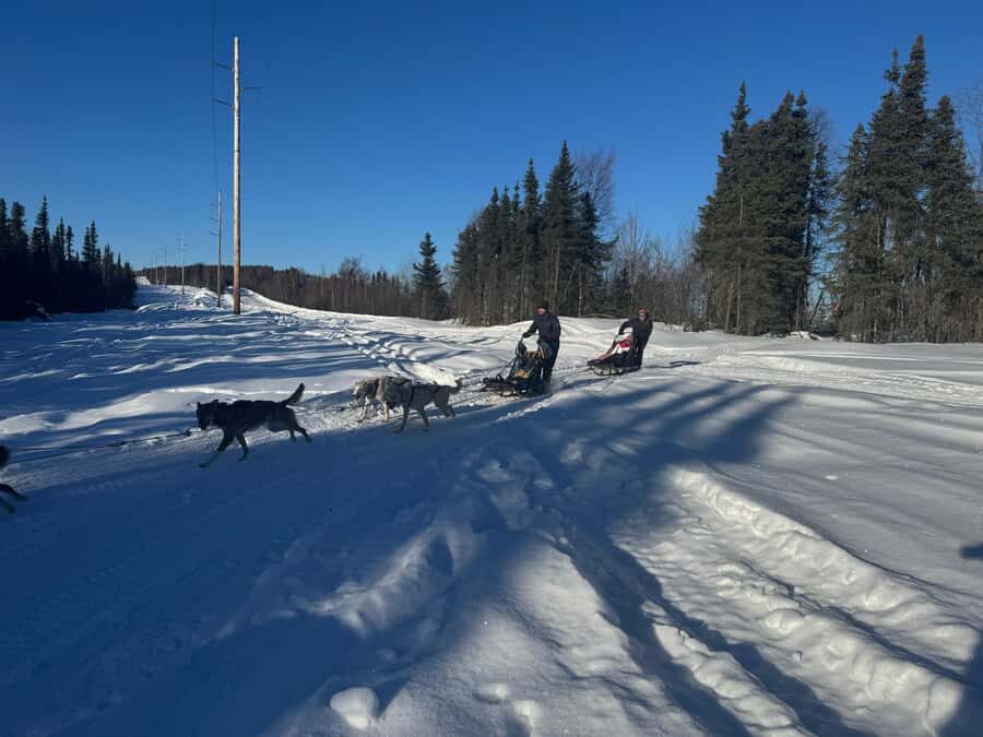 Fairbanks: 2-Hour Basic Dog Mushing School - Why This Experience Stands Out