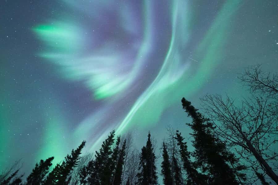 Fairbanks: Aurora Viewing Lodge - The Experience in Detail