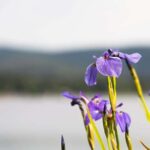 Fairbanks: Beauty of the North - Itinerary Breakdown: What You’ll Experience