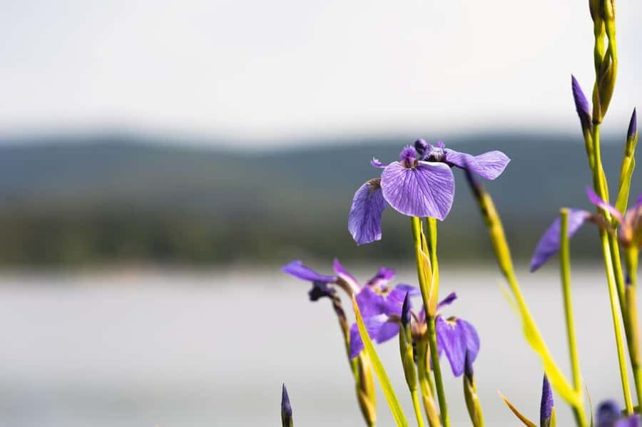 Fairbanks: Beauty of the North - Itinerary Breakdown: What You’ll Experience