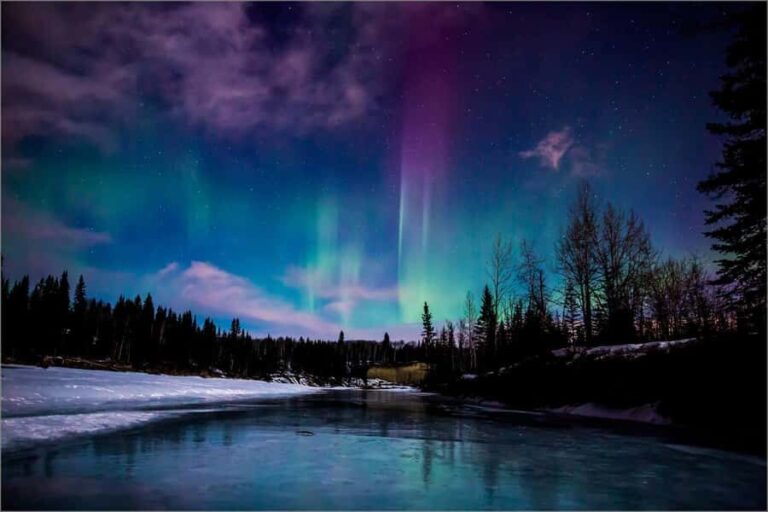Fairbanks: Northern Lights & Chena Hot Springs Tour - Final Thoughts