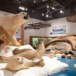Fairbanks Top City Highlights Tour Summer/Fall - What People Say: Authentic Experiences from Past Travelers