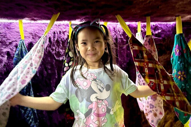 Family Cat Adventure Escape Room - How the Itinerary Breaks Down