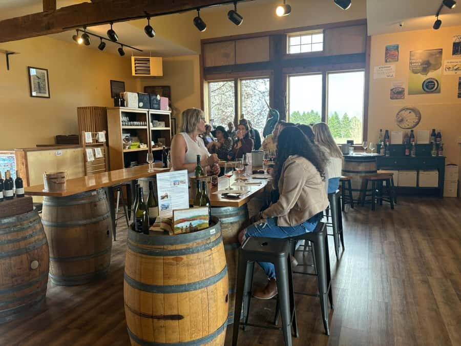 Farmington: Canandaigua Lake Wine Tasting Tour - Practical Tips