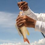 Fishing Adventure in Puerto Morelos with 26-foot Boat - Who Should Consider This Tour?