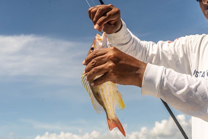 Fishing Adventure in Puerto Morelos with 26-foot Boat - Who Should Consider This Tour?