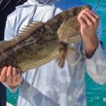 Fishing Charters in Clearwater Beach Florida - Who Is This Tour Best For?