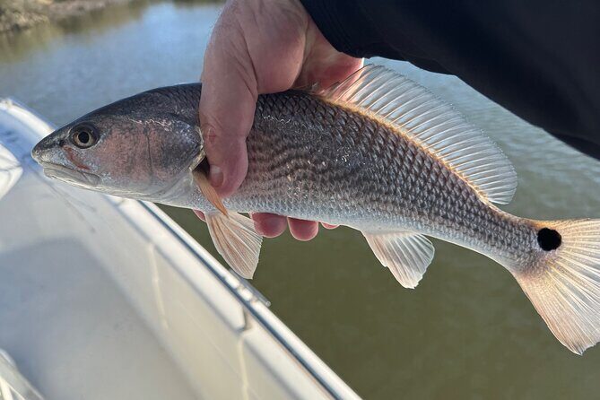 Fishing Charters in Mount Pleasant - The Details of the Inshore Fishing Adventure