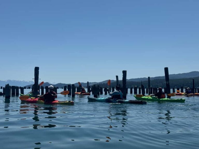 Flathead Lake: Somers Bay Kayak Tour - The Sum Up: Is It Worth It?